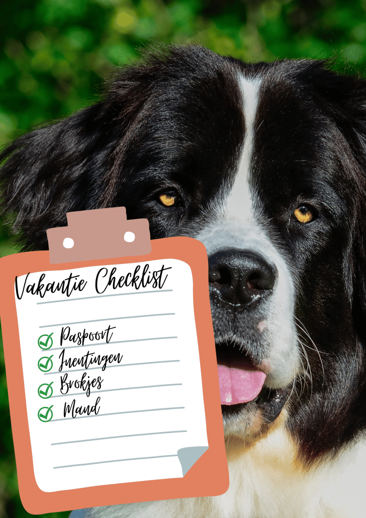 Vakantie-Checklist-hondenhotel-aandachtig